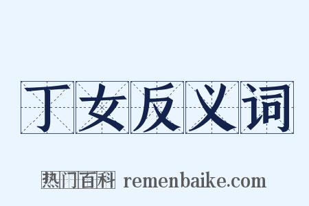 丁女反义词是什么意思的图片